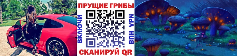KRAKEN вход Анжеро-Судженск Псилоцибиновые грибы MAGIC MUSHROOMS цена наркотик