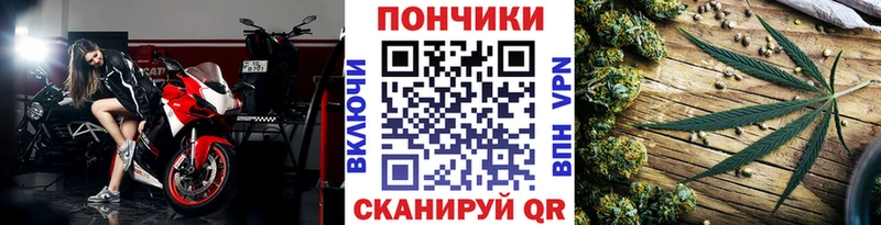 Шишки марихуана марихуана  Анжеро-Судженск 